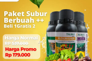 Power V Grow 98K – YT